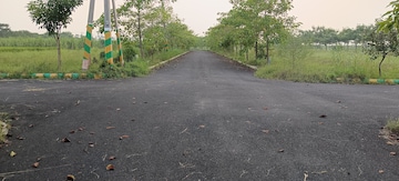 Plot For Resale in Chittinagar Vijayawada  7728389