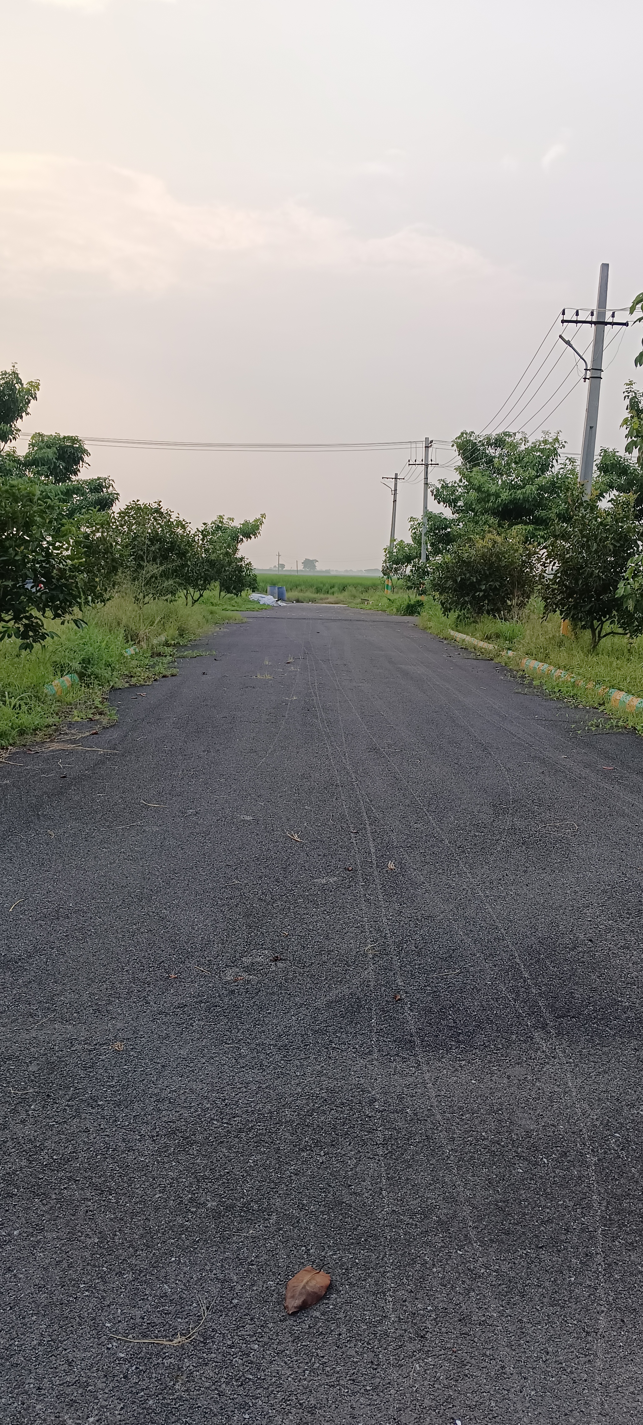 Plot For Resale in Chittinagar Vijayawada  7728404