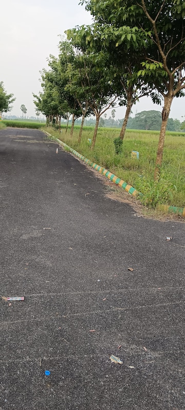 Plot For Resale in Chittinagar Vijayawada  7728416