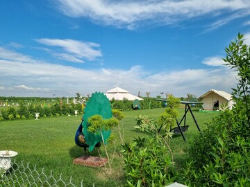  Plot – Exterior View View at Gautam Buddha University - for Sale