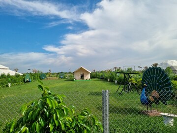  Plot – Exterior View View at Gautam Buddha University - for Sale