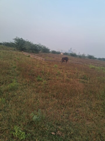  Plot For Sale in Deri Skaner