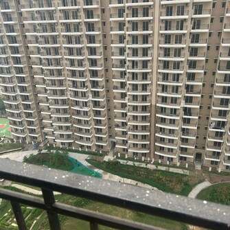 2 BHK Apartment For Resale in Nirala Aspire Panchsheel Green Greater Noida  7728774