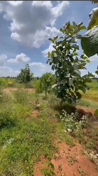 Commercial Land 3 Acre For Resale in Dapoli Ratnagiri  7673476