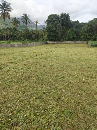 Plot For Resale in Railway Colony Palakkad  7728895