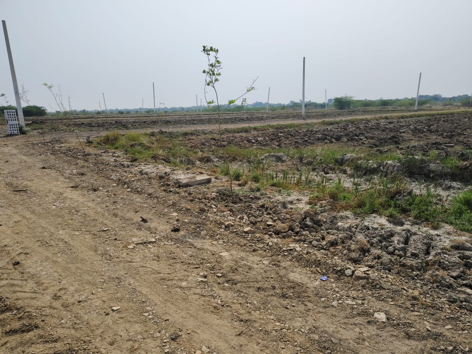 Plot For Resale in Madhorajpura - Chandma Road Jaipur  7728910