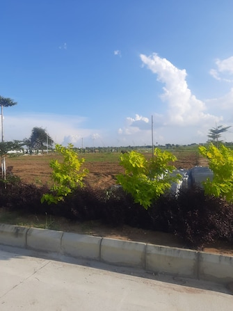 Plot For Resale in Vasudaika Henley Woods Nagreddipalli Hyderabad  7728992