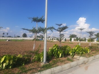 Plot For Resale in Vasudaika Henley Woods Nagreddipalli Hyderabad  7728992