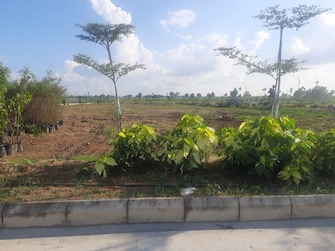 Plot For Resale in Shamshabad Road Hyderabad  7729049