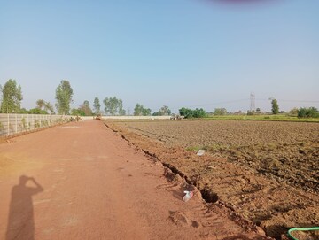 Plot Area in  Plot at Sikri – for Sale