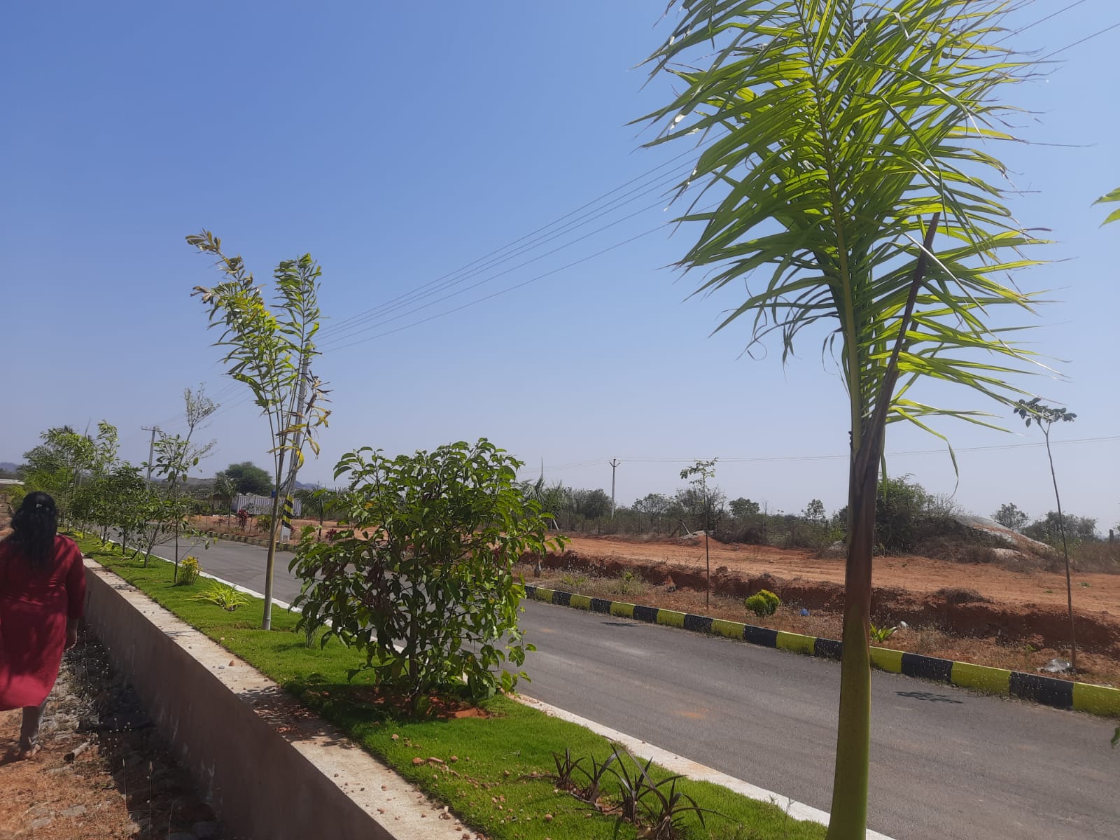 Plot For Resale in Nandiwanaparthy Hyderabad  7729415