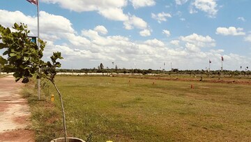 Plot Area in  Plot at Thanjore Road – for Sale