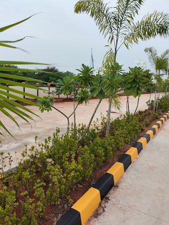 Plot For Resale in Thanjore Road Trichy  7729492