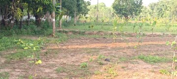 Plot Area in  Plot at Sarada Colony – for Sale