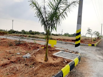 Plot For Resale in Nagarjuna Sagar Road Hyderabad  7729504