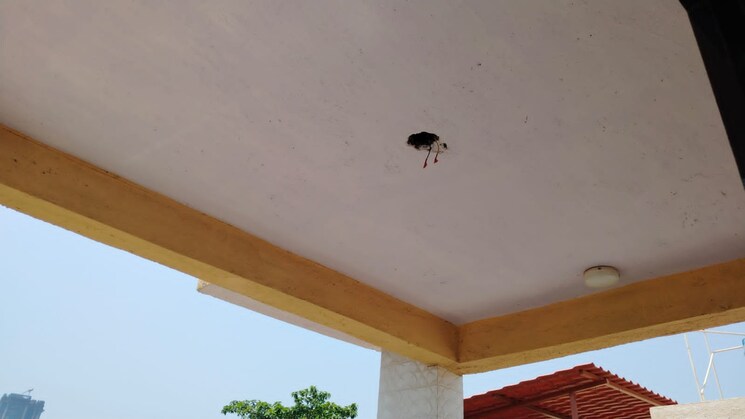 Room, sector 1 charkop 2 Bedroom 750 Sq.Ft. Independent House In Sector 1 Charkop Mumbai 7729657