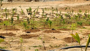 Plot Area in  Plot at Jangaon – for Sale