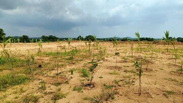 Plot Area in  Plot at Jangaon – for Sale