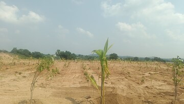 Plot Area in  Plot at Jangaon – for Sale