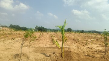 Plot Area in  Plot at Jangaon – for Sale