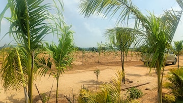 Plot Area in  Plot at Jangaon – for Sale