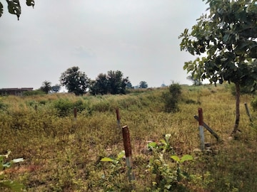 Plot For Resale in Tekulapally Hyderabad  7730420