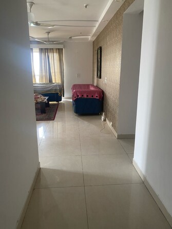 3 BHK Apartment For Resale in Ace Golfshire Sector 150 Noida  7728340