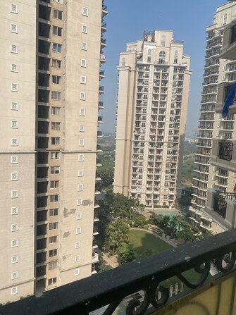 3 BHK Apartment For Resale in Ace Golfshire Sector 150 Noida  7728340