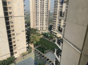 3 BHK Apartment For Resale in Ace Golfshire Sector 150 Noida  7728340