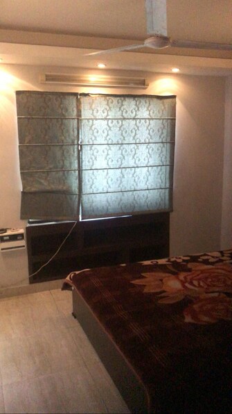 2 BHK Builder Floor For Rent in Green Park Delhi  7730688