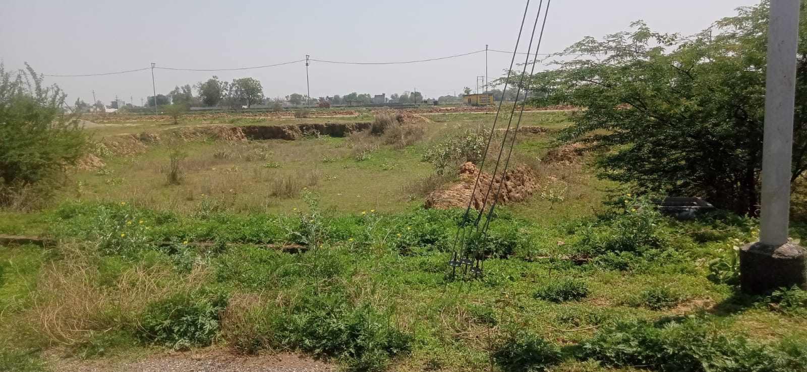 Plot For Resale in Sector 5 Greater Noida  7730857