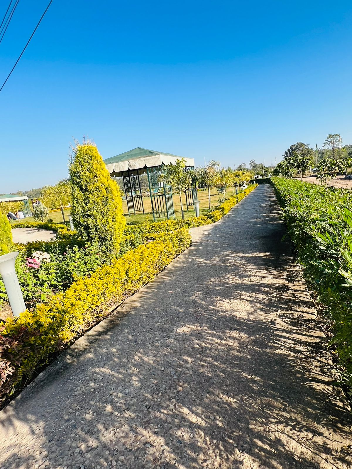 3 BHK + Pooja Room 1755 Sq.Ft. Apartment in Motia Harmony Greens