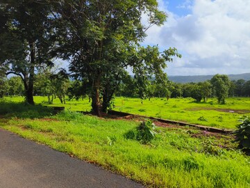  Plot For Sale in Mangaon