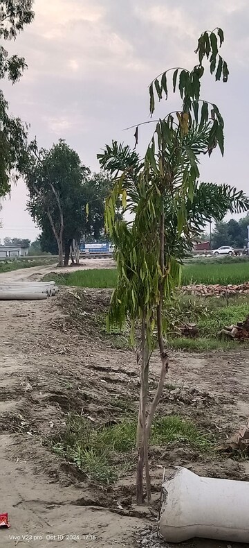  Plot For Sale in Sultanpur Road