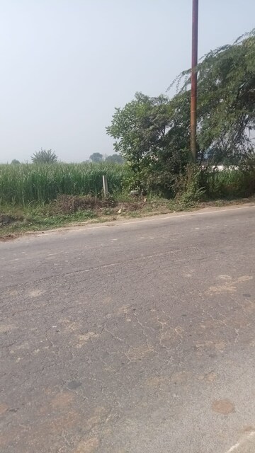 Plot Area in  Plot at Chhaproli Khadar – for Rent