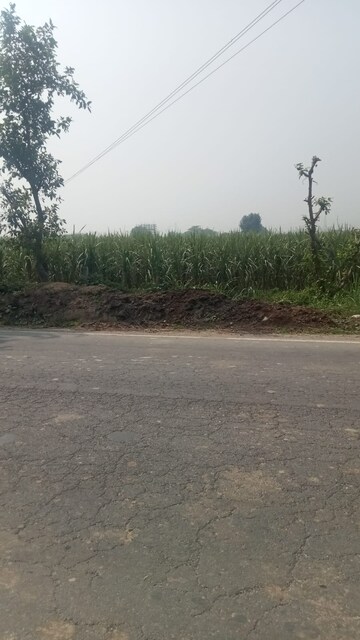 Plot Area in  Plot at Chhaproli Khadar – for Rent