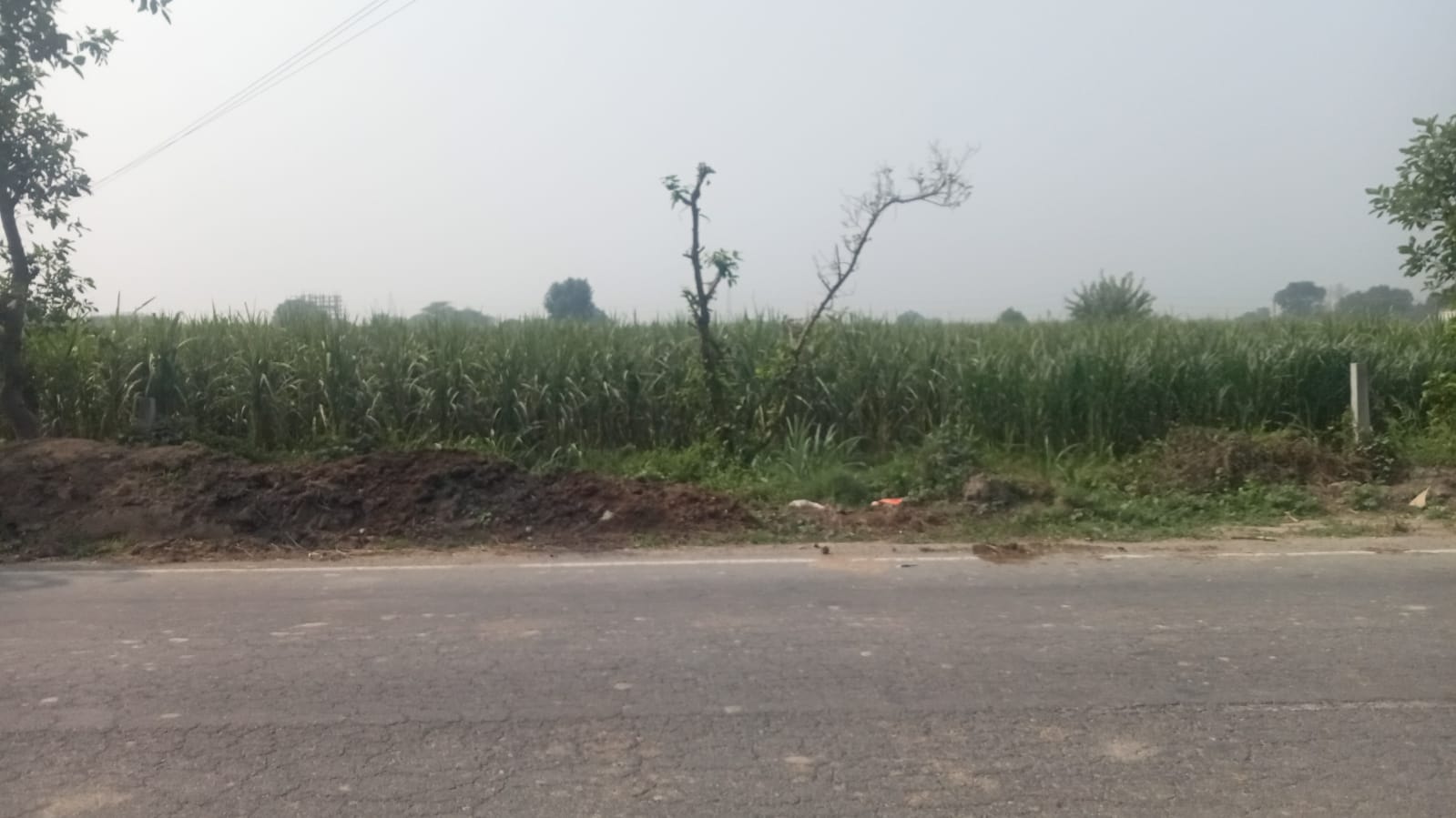 Plot For Rent in Modinagar Meerut  7731258