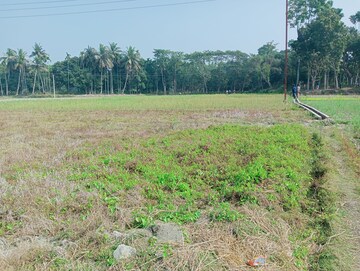 Commercial Land 1300 Sq.Ft. For Resale in Gt Road Kolkata  7731374