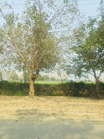 Plot For Resale in Sector 22a Greater Noida  7731422