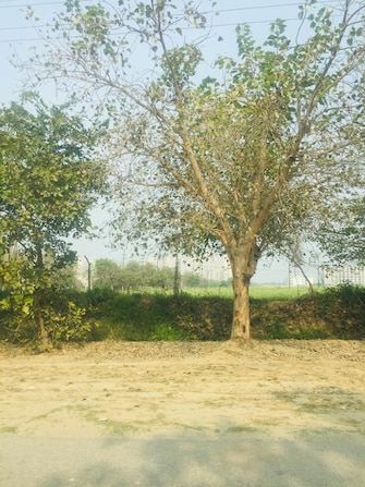 Plot For Resale in Sector 22a Greater Noida  7731455