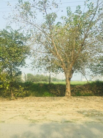 Plot For Resale in Sector 22a Greater Noida  7731455