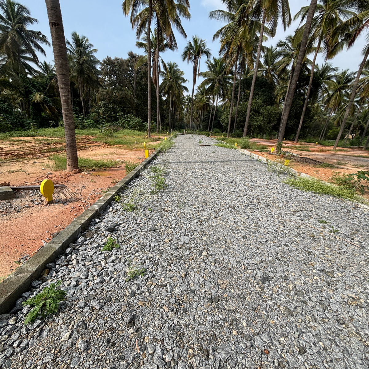 Plot For Resale in Whitefield Bangalore  7731460