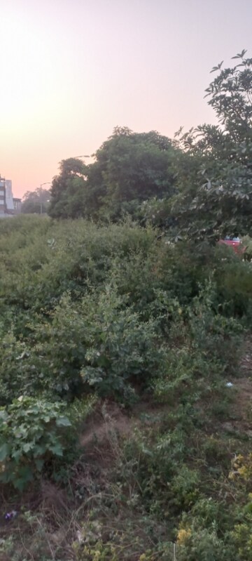 Plot Area in  Plot at Bptp District Faridabad, Sector 81 – for Sale