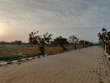 Plot Area in  Plot at Sector 23 – for Sale