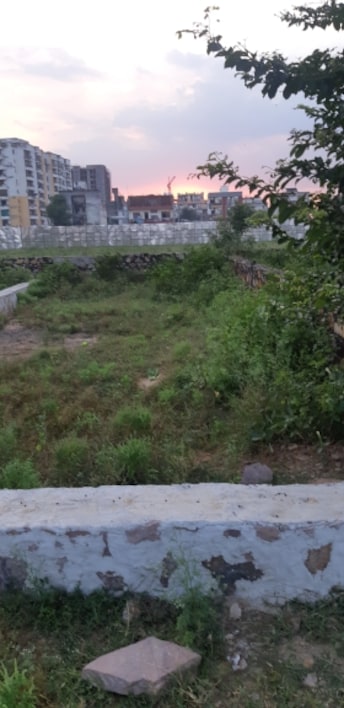 Plot For Resale in Tonk Road Jaipur  7731945