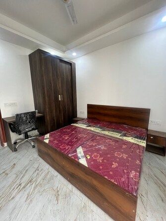 1 BHK Apartment For Rent in DLF Star Mall Sector 30 Gurgaon  7731950