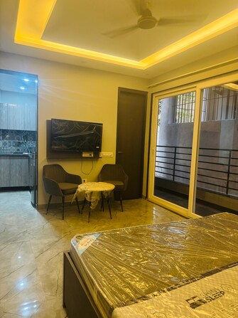 1 BHK Apartment For Rent in Siddhi Vinayak Apartments Gurgaon Sector 55 Gurgaon  7732037