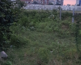 Plot For Sale in Tonk Road