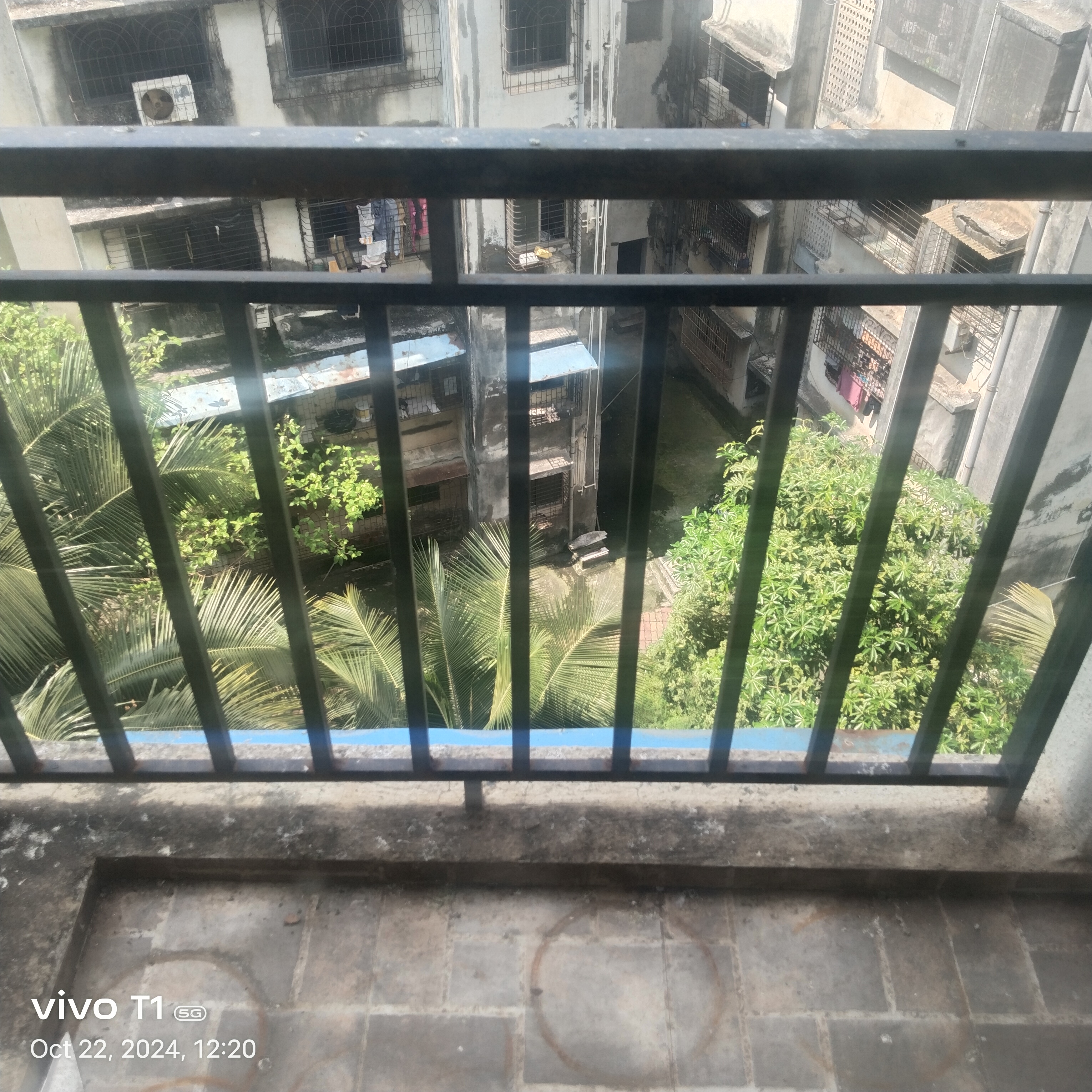 1 BHK + Pooja Room 550 Sq.Ft. Apartment in Anchor Park Phase II