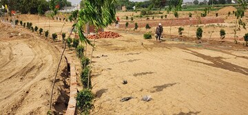  Plot For Sale in Jewar
